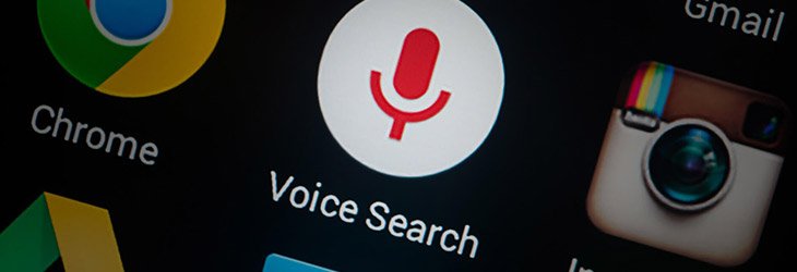Visual and voice search